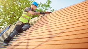 Best Skylight Installation and Repair  in Brooklet, GA