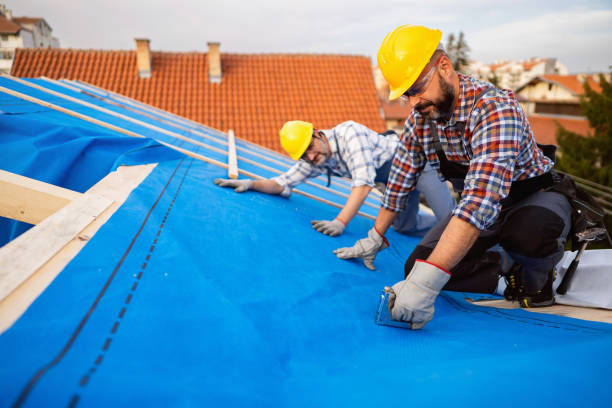 Best Emergency Roof Repair Services  in Brooklet, GA