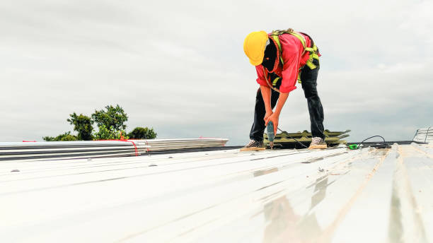 Best Rubber Roofing (EPDM, TPO)  in Brooklet, GA