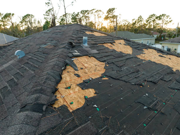 Best Roof Ventilation Installation  in Brooklet, GA