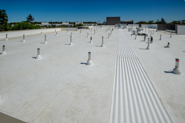 Best Cold Roofs  in Brooklet, GA